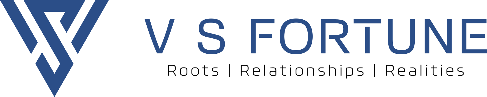 VS Fortune Logo